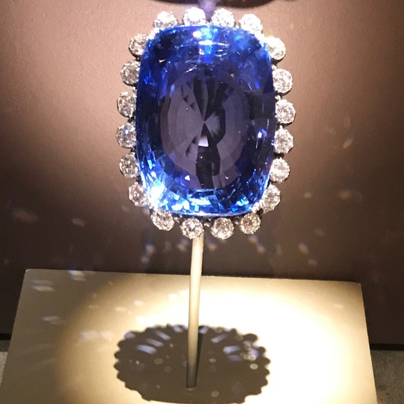 Meet your Posher, Tara - Picture 1 of 1